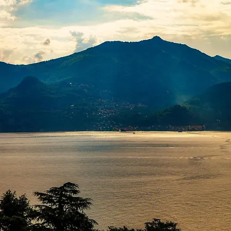 Salvia - By My In Como